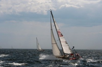 Louisa Gould - Newport-Bermuda