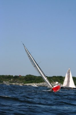 Louisa Gould - Newport-Bermuda