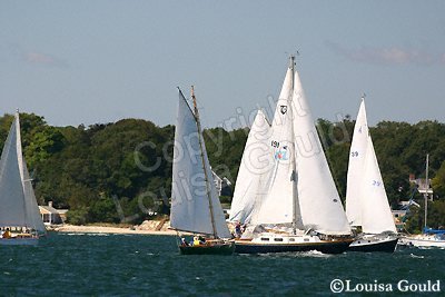 Louisa Gould - Moffett Race 2005