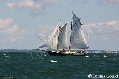 Louisa Gould - Moffett Race 2005