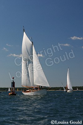 Louisa Gould - Moffett Race 2005