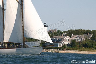 Louisa Gould - Moffett Race 2005