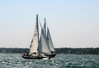 Louisa Gould - 150th Shipyard Regatta