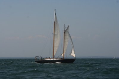 Louisa Gould - 150th Shipyard Regatta