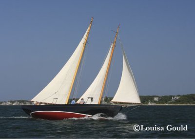 Louisa Gould - 150th Shipyard Regatta