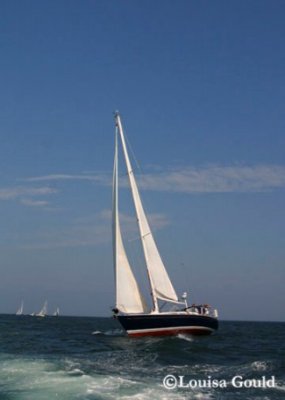 Louisa Gould - 150th Shipyard Regatta