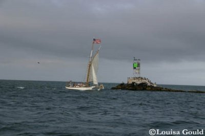 Louisa Gould - Opera House Cup